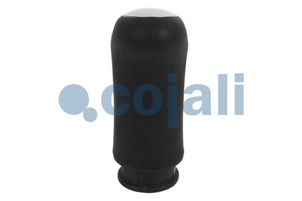 Pookknoppen  Cojali 2880156