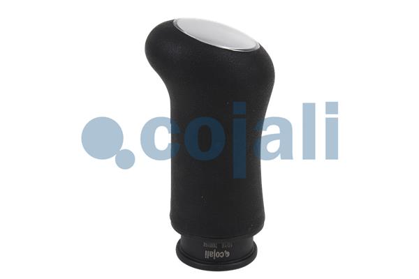 Cojali Pookknoppen  2880156