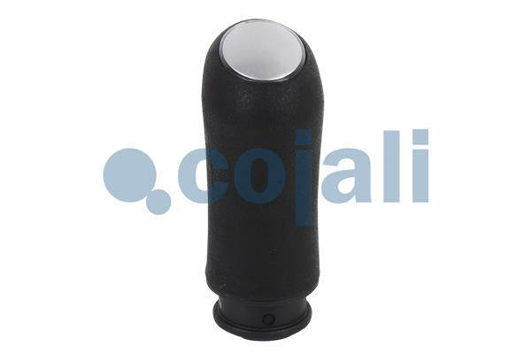 Cojali Pookknoppen  2880156