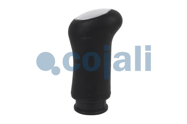 Cojali Pookknoppen  2880156