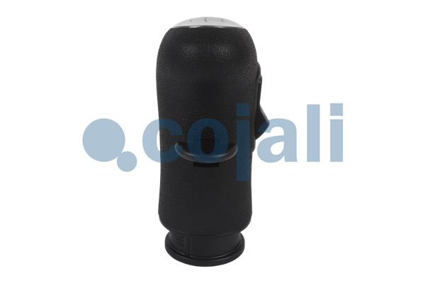 Pookknoppen  Cojali 2880157