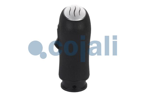 Cojali Pookknoppen  2880157