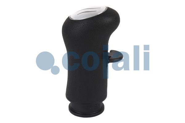 Cojali Pookknoppen  2880157