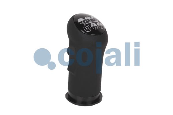 Pookknoppen  Cojali 2880159
