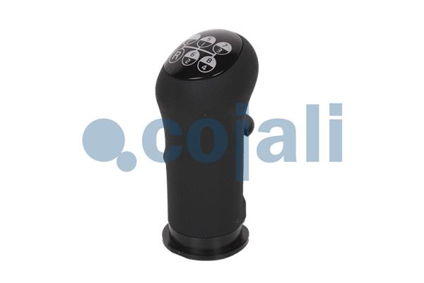 Cojali Pookknoppen  2880160