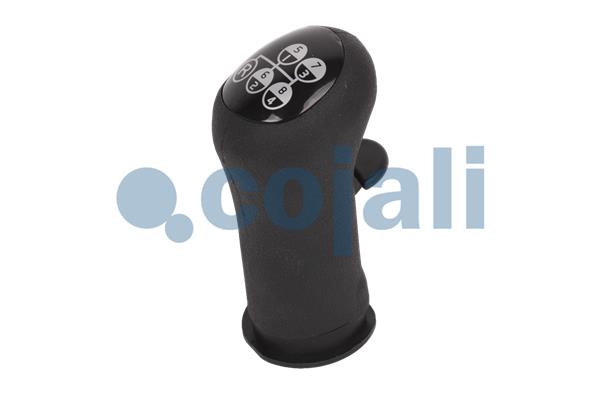 Pookknoppen  Cojali 2880163
