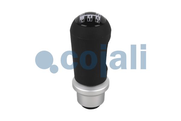 Pookknoppen  Cojali 2880172
