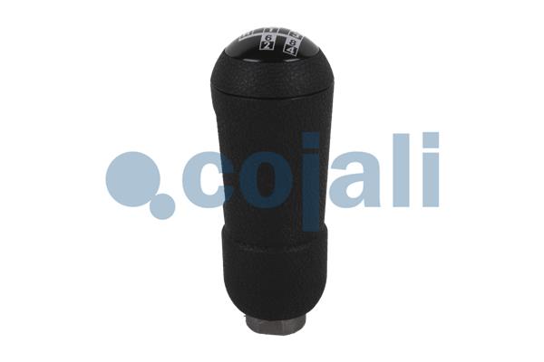 Pookknoppen  Cojali 2880175