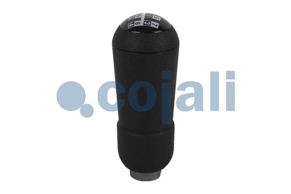 Cojali Pookknoppen  2880175