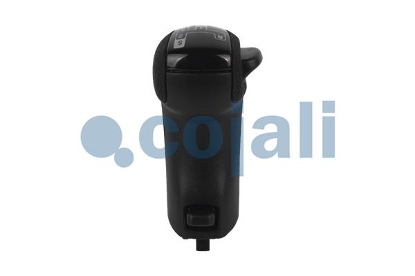 Pookknoppen  Cojali 2880179