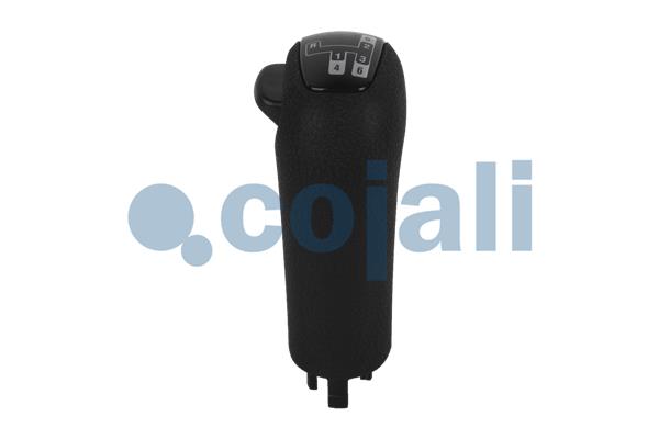 Cojali Pookknoppen  2880179