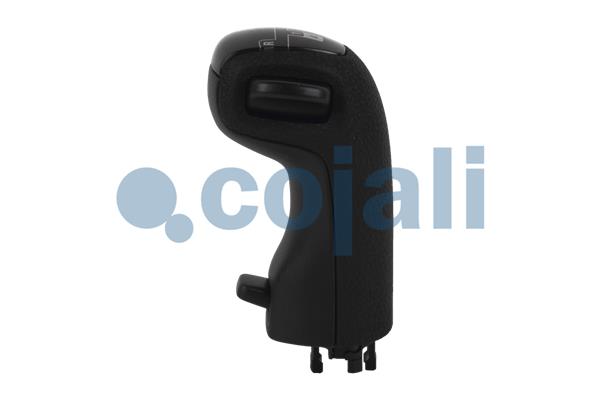Cojali Pookknoppen  2880179