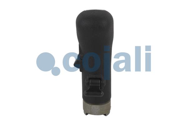 Pookknoppen  Cojali 2880180