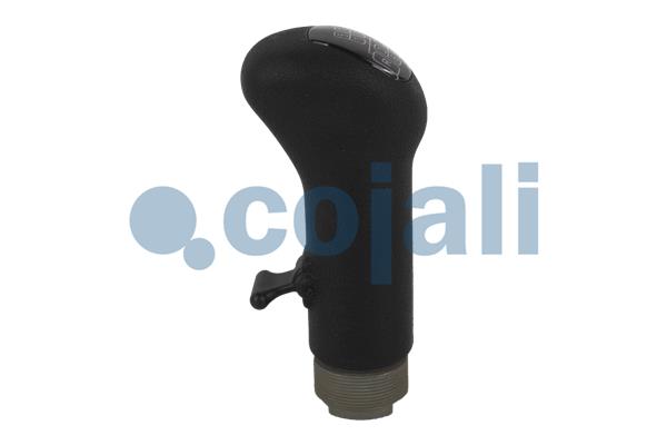 Cojali Pookknoppen  2880180
