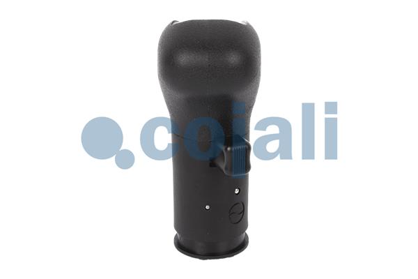 Pookknoppen  Cojali 2880182