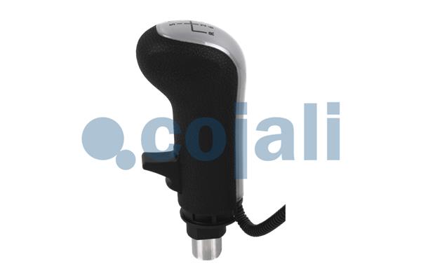 Pookknoppen  Cojali 2880183