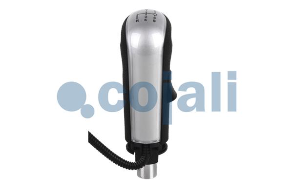 Cojali Pookknoppen  2880183