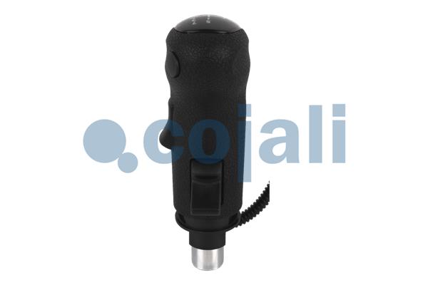 Pookknoppen  Cojali 2880184