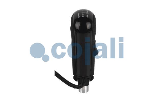 Cojali Pookknoppen  2880184