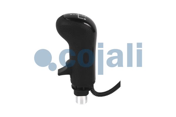 Cojali Pookknoppen  2880184