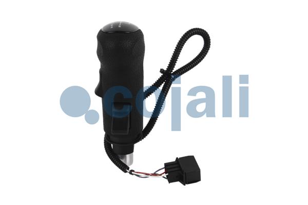 Pookknoppen  Cojali 2880185