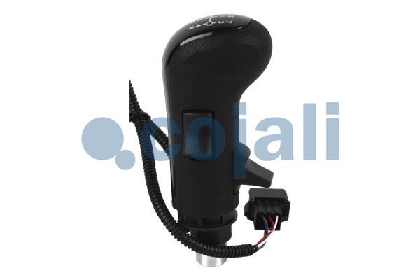 Cojali Pookknoppen  2880185