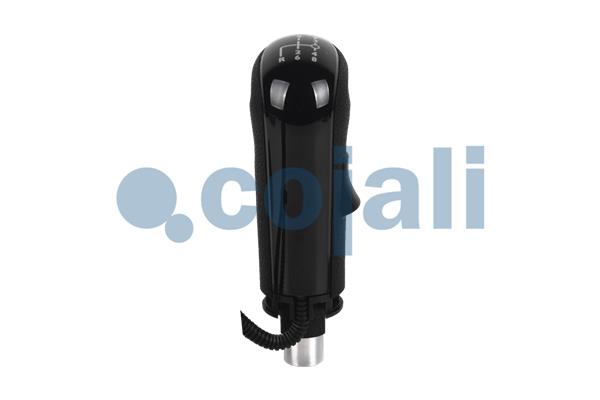 Cojali Pookknoppen  2880185