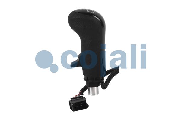 Cojali Pookknoppen  2880185
