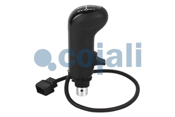 Pookknoppen  Cojali 2880186