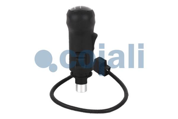 Cojali Pookknoppen  2880186