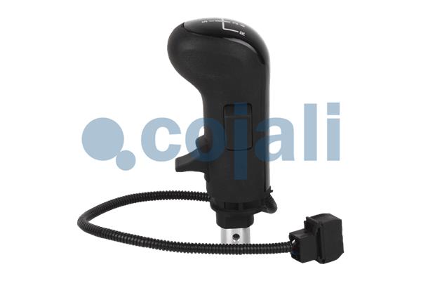 Cojali Pookknoppen  2880186