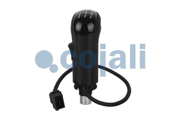Cojali Pookknoppen  2880186