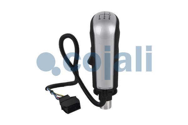Pookknoppen  Cojali 2880187