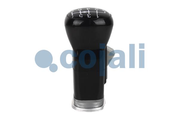 Pookknoppen  Cojali 2880190