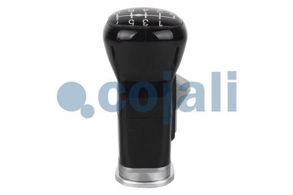 Pookknoppen  Cojali 2880191