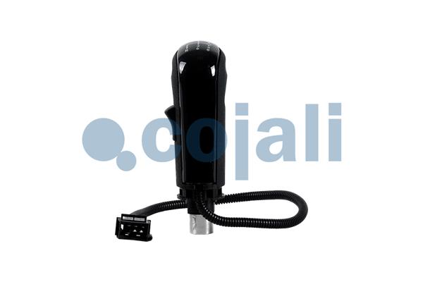 Pookknoppen  Cojali 2880192