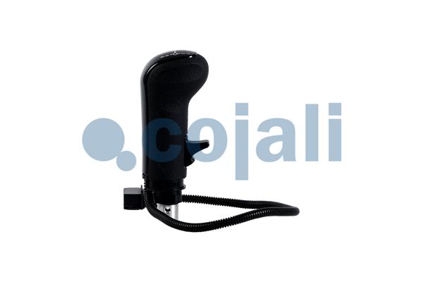 Cojali Pookknoppen  2880192