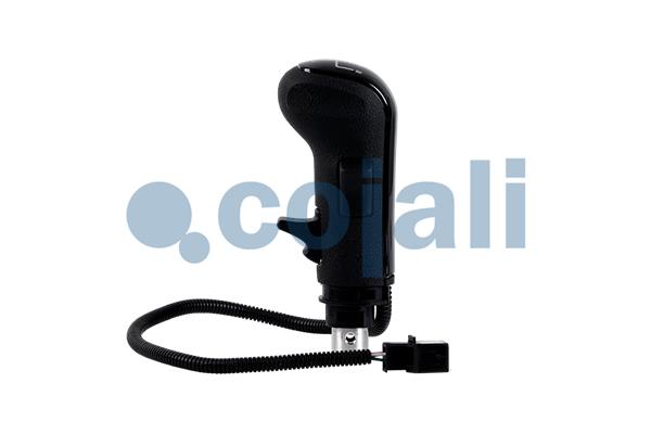 Cojali Pookknoppen  2880192