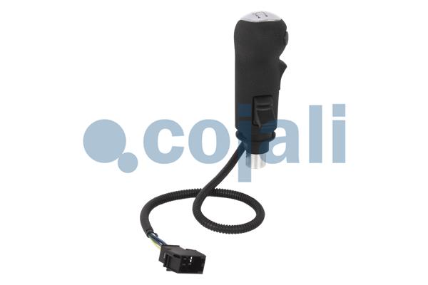 Pookknoppen  Cojali 2880195