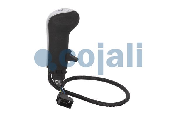 Cojali Pookknoppen  2880195