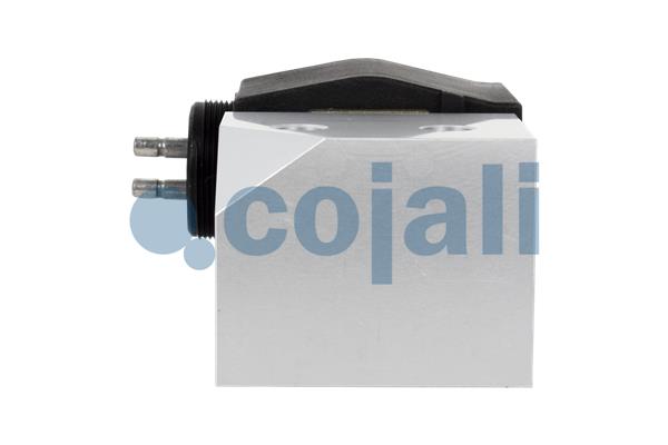Cojali Magneetklep 2880201