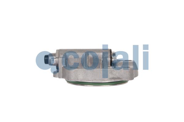 Cojali Meerwegklep 2880221