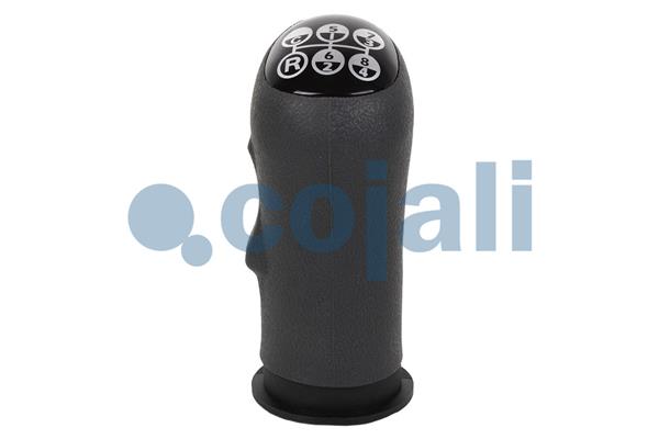 Pookknoppen  Cojali 2880223