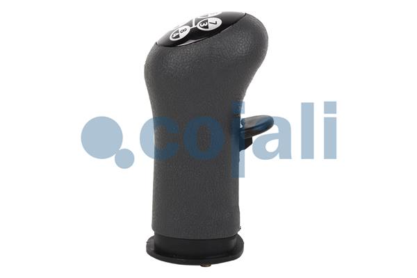 Cojali Pookknoppen  2880223