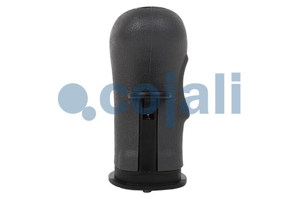 Cojali Pookknoppen  2880223
