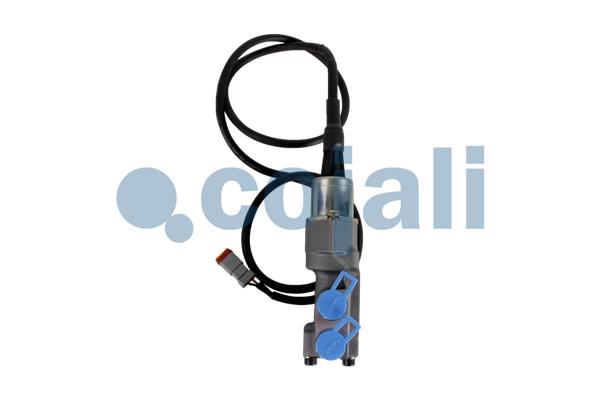 Cojali EGR-klep 2880225