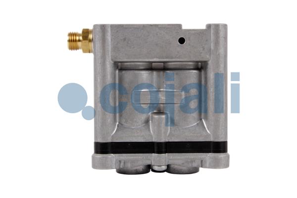 Cojali Uitlaatklep 2880227