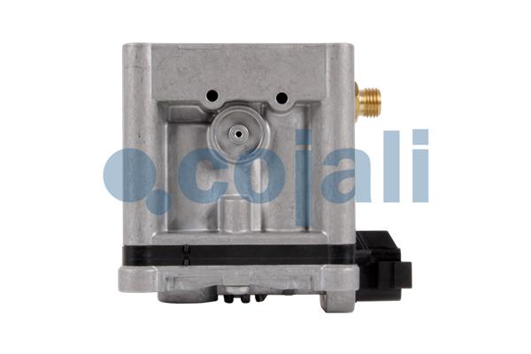 Cojali Uitlaatklep 2880227