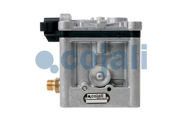 Cojali Uitlaatklep 2880228