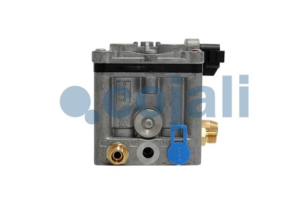 Cojali Uitlaatklep 2880228